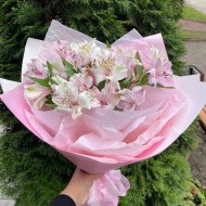 Розовая вуаль Розовая вуаль